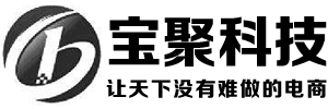 上海宝聚网络科技有限公司